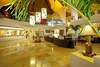 Viva Dominicus Palace 